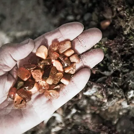 4 Star In Σπίτι διακοπών